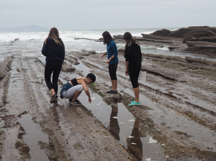 Zumaia_Flysh