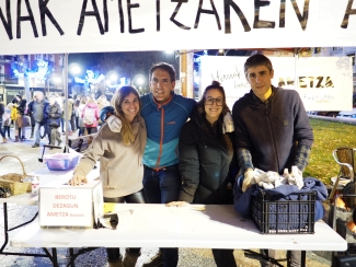 AmetzaIkastola_Gaztainak