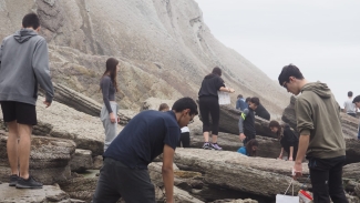 Zumaia_Flysh