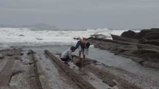 Zumaia_Flysh