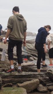 Zumaia_Flysh