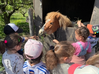 NaturEskola_HH3