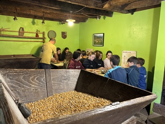 Argazkia2025_12_11Amaiur